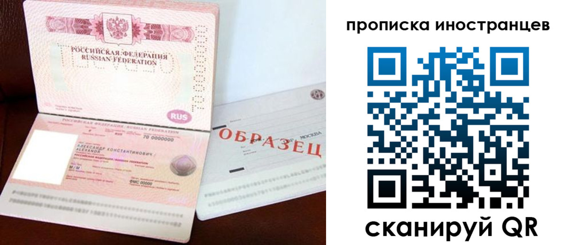 прописка поиск в Лесозаводске